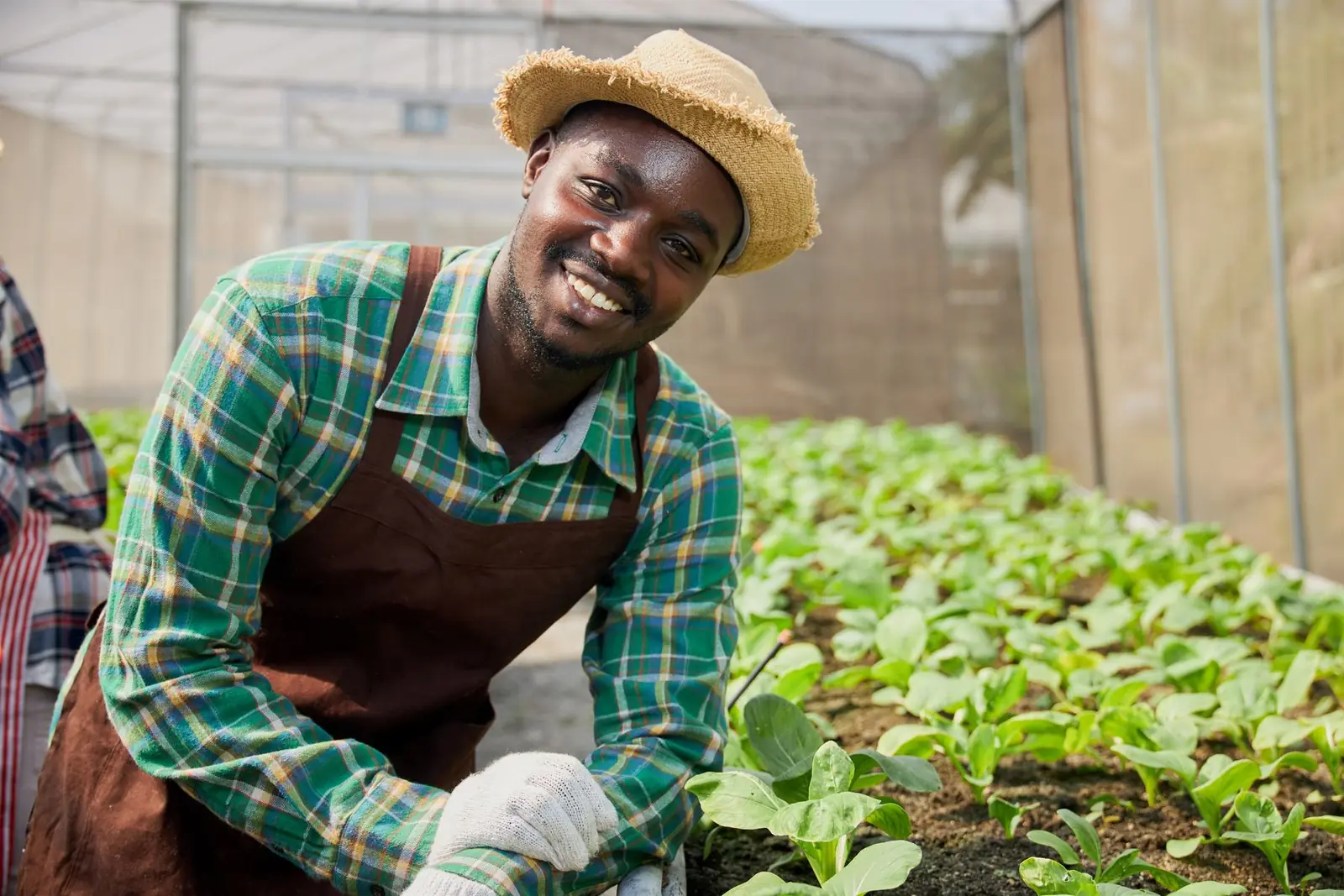 A young farmer smiling in a greenhouse